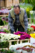 MIN RUNGIS-Fleurs-87